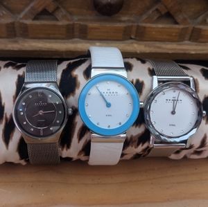 Skagen watches (bundle)